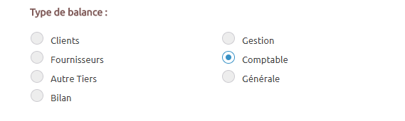 Section « Type de balance » - Fenêtre de lancement de la Balance Comparative